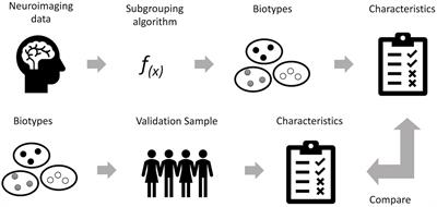 Neuroimaging based biotypes for precision diagnosis and prognosis in cancer-related cognitive impairment